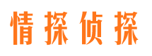 江岸出轨调查